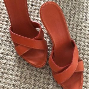 Gorgeous pair of Guiseppe Zanotti shoes